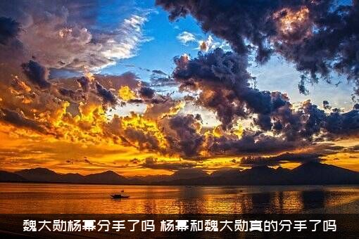 魏大勋杨幂分手了吗？杨幂和魏大勋真的分手了吗？