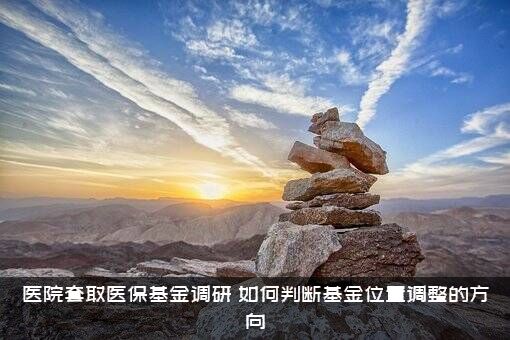 医院套取医保基金调研，如何判断基金位置调整的方向？