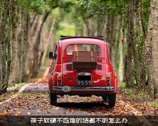 孩子软硬不吃谁的话都不听怎么办？