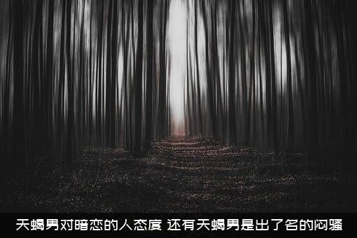 天蝎男对暗恋的人态度（还有天蝎男是出了名的闷骚）