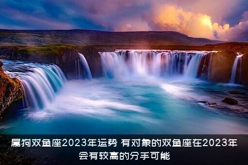 属狗双鱼座2023年运势（有对象的双鱼座在2023年会有较高的分手可能）