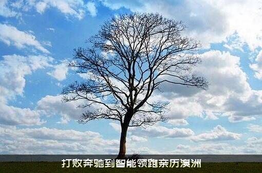 打败奔驰到智能领跑亲历澳洲