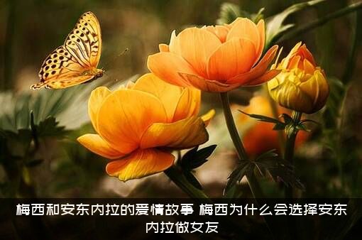 梅西和安东内拉的爱情故事，梅西为什么会选择安东内拉做女友?？