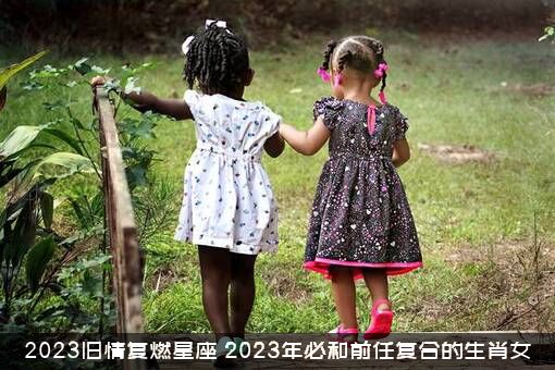 2023旧情复燃星座（2023年必和前任复合的生肖女）