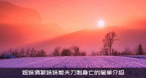 姐妹俩被妹妹前夫刀刺身亡的简单介绍