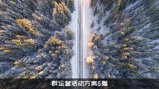 群运营活动方案5篇
