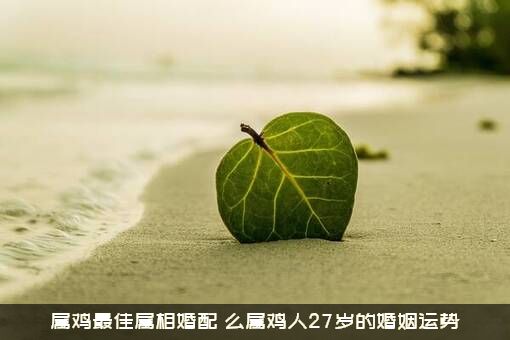 属鸡最佳属相婚配，么属鸡人27岁的婚姻运势？