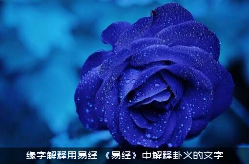 缘字解释用易经（《易经》中解释卦义的文字）