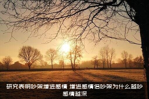 研究表明吵架增进感情，增进感情侣吵架为什么越吵感情越深？