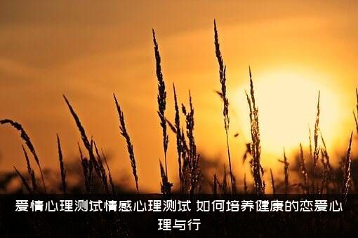 爱情心理测试情感心理测试，如何培养健康的恋爱心理与行？