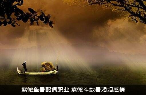紫微盘看配偶职业（紫微斗数看婚姻感情）
