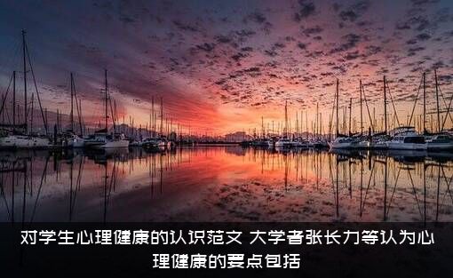 对学生心理健康的认识范文，大学者张长力等认为心理健康的要点包括