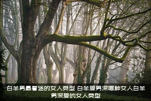 白羊男最着迷的女人类型，白羊爱男深哪种女人白羊男深爱的女人类型？