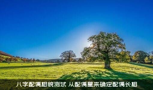 八字配偶相貌测试（从配偶星来确定配偶长相）
