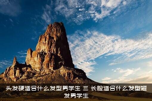 头发硬适合什么发型男学生？三)长脸适合什么发型短发男学生？
