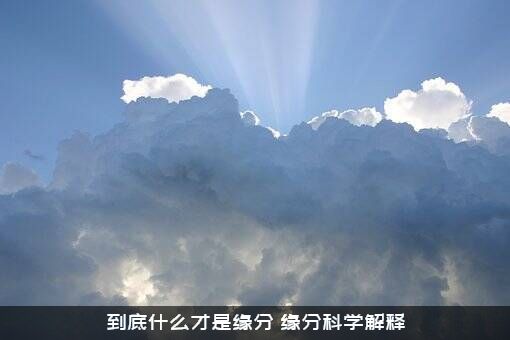 到底什么才是缘分（缘分科学解释）