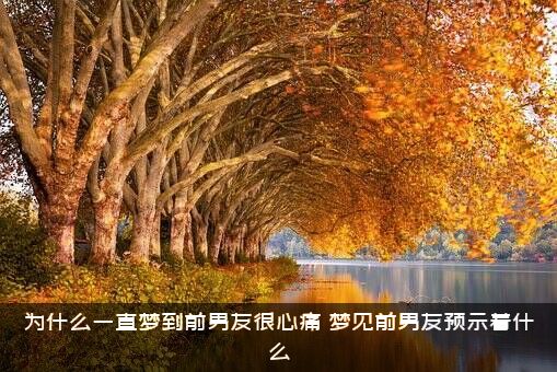 为什么一直梦到前男友很心痛？梦见前男友预示着什么？