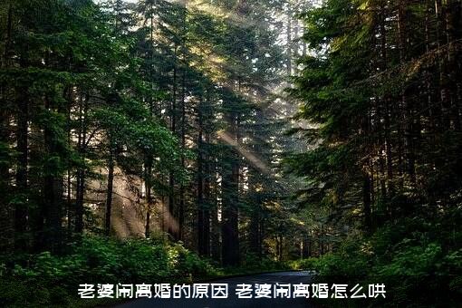 老婆闹离婚的原因，老婆闹离婚怎么哄？