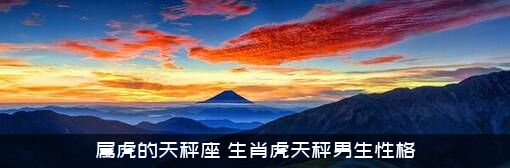 属虎的天秤座（生肖虎天秤男生性格）