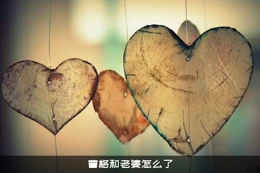 曹格和老婆怎么了？