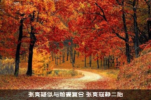 张亮疑似与前妻复合（张亮寇静二胎）