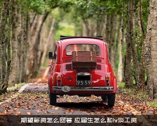 期望薪资怎么回答？应届生怎么和hr谈工资？