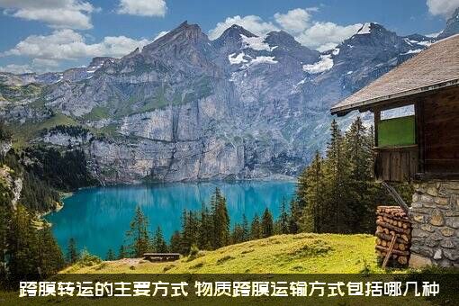 跨膜转运的主要方式，物质跨膜运输方式包括哪几种?？