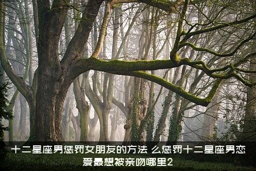 十二星座男惩罚女朋友的方法，么惩罚十二星座男恋爱最想被亲吻哪里2？
