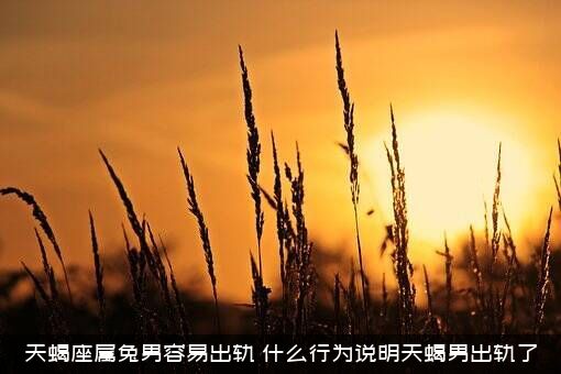 天蝎座属兔男容易出轨，什么行为说明天蝎男出轨了？