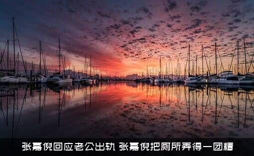 张嘉倪回应老公出轨（张嘉倪把厕所弄得一团糟）