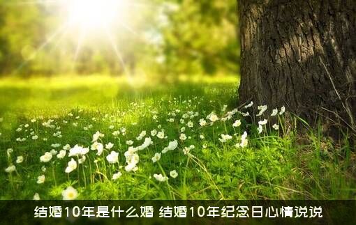 结婚10年是什么婚？结婚10年纪念日心情说说