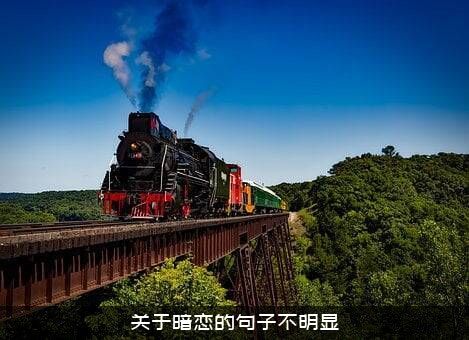 关于暗恋的句子不明显