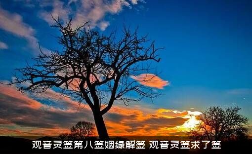 观音灵签第八签姻缘解签（观音灵签求了签）