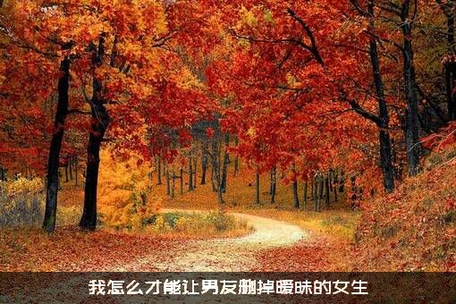 我怎么才能让男友删掉暧昧的女生？
