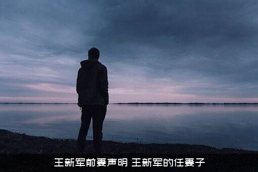 王新军前妻声明（王新军的任妻子）