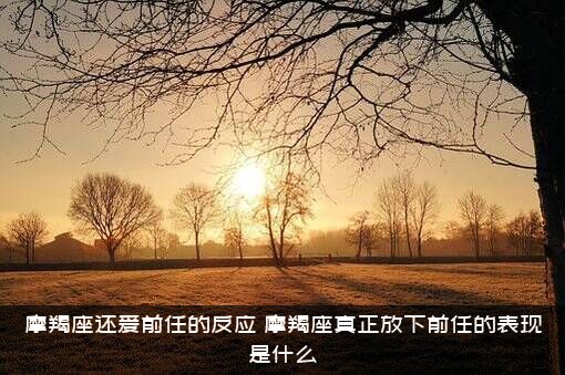 摩羯座还爱前任的反应，摩羯座真正放下前任的表现是什么？