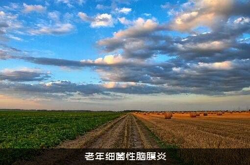 老年细菌性脑膜炎