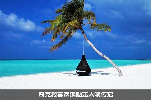 奇克我喜欢读励志人物传记
