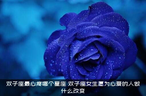 双子座最心疼哪个星座？双子座女生愿为心爱的人做什么改变？