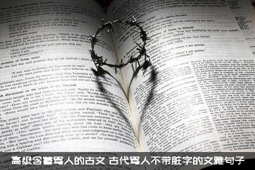 高级含蓄骂人的古文（古代骂人不带脏字的文雅句子）