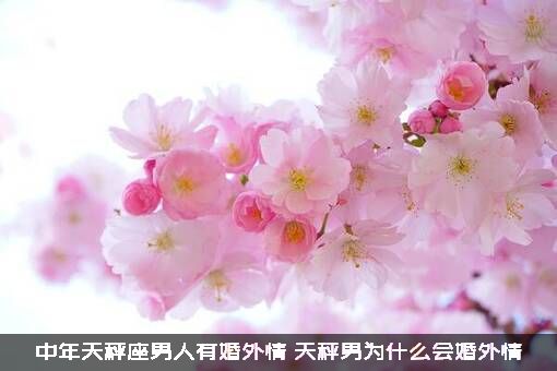 中年天秤座男人有婚外情，天秤男为什么会婚外情？