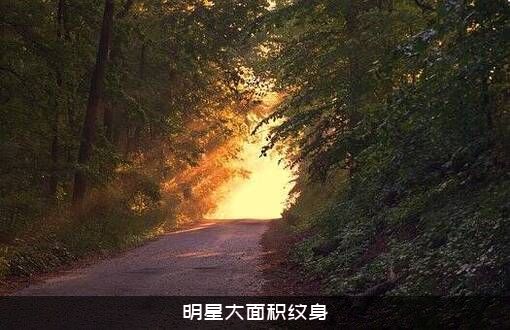 明星大面积纹身