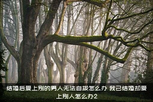 结婚后爱上别的男人无法自拔怎么办？我已结婚却爱上别人怎么办2？