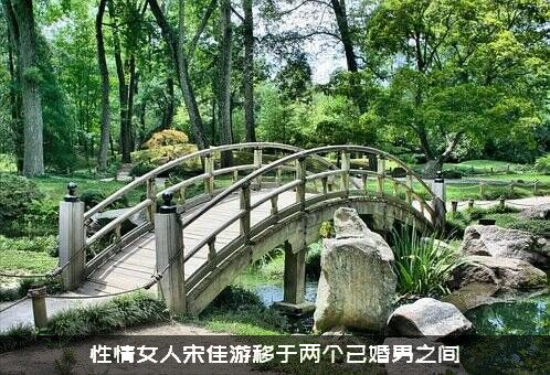 性情女人宋佳游移于两个已婚男之间