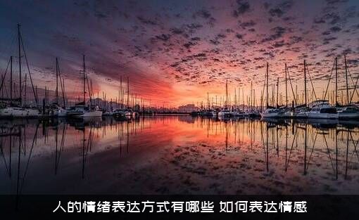 人的情绪表达方式有哪些（如何表达情感）