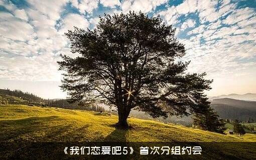 《我们恋爱吧5》首次分组约会
