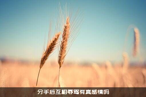 分手后互相辱骂有真感情吗？