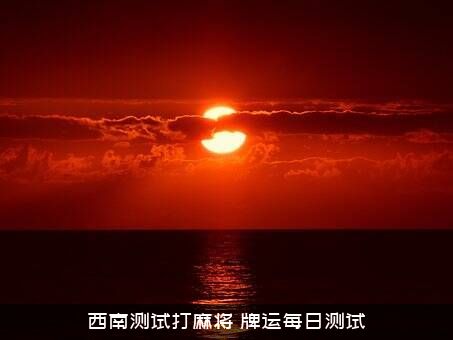 西南测试打麻将（牌运每日测试）