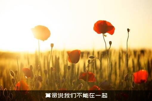 算命说我们不能在一起