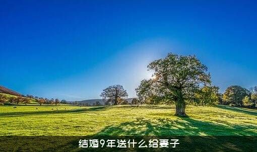 结婚9年送什么给妻子？